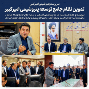 تدوین نظام جامع توسعه پتروشیمی امیرکبیر