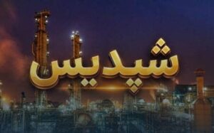 توقف موقت فاز یک پتروشیمی پردیس به دلیل محدودیت تأمین برق